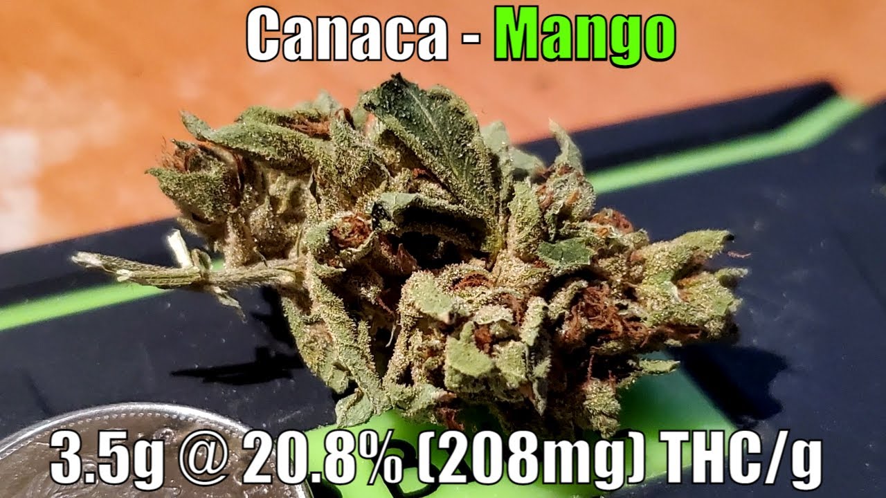 Canaca - Mango - Unboxing Review - 3.5g @ 20.8% (208mg) THC/g (+Extreme Closeups)