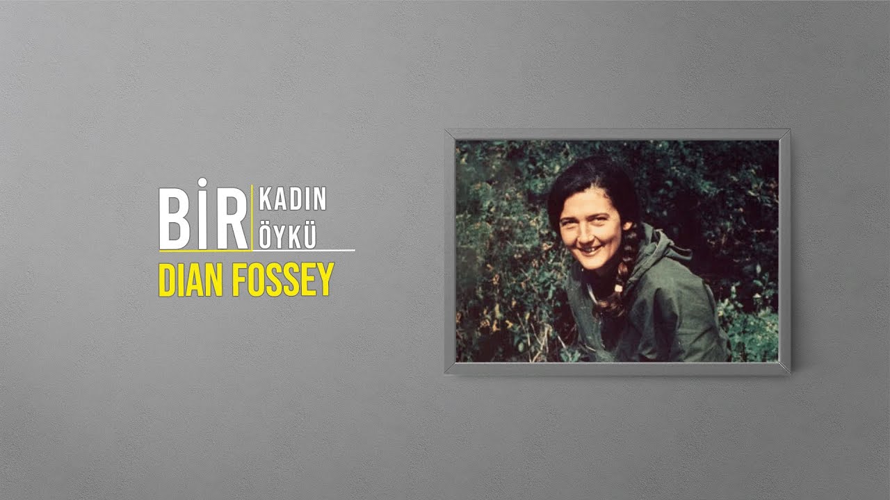 Dian Fossey Kimdir? Gorillerin Arasında Geçen Bir Hayat | Bir Kadın Bir Öykü #94