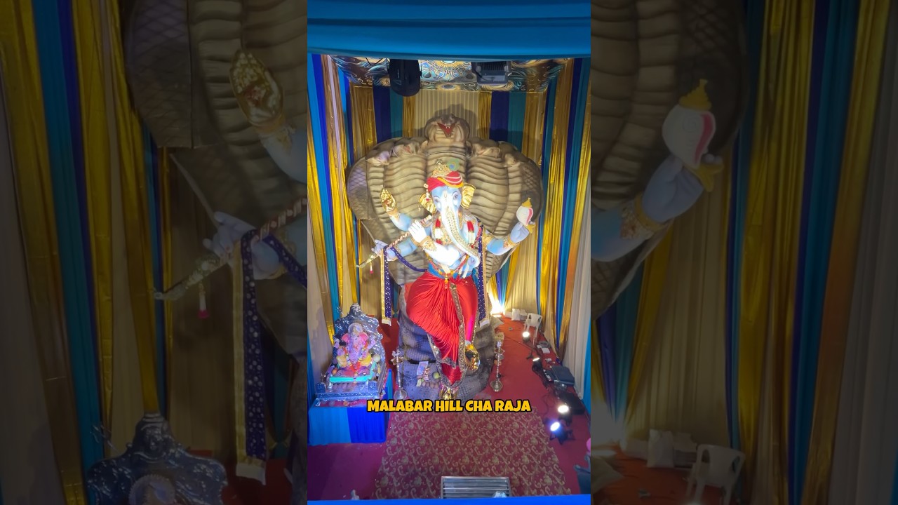 Malabar Hill Cha Raja 2024 | 