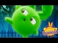 Cartoons for Children | Sunny Bunnies SUNNY BUNNIES IN THE NIGHT | Funny Cartoons For Children