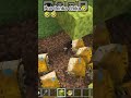 pov-jhinka chika puffer fish 🐠 dance #minecraft #funny #subscribe #like