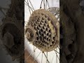 Extreme😨 Mud Bike Restoration | Satisfying Deep Clean🫧🧽