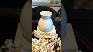 I’m loving my new faux cherry blossom stems from amazon! My doggies wanted to be apart of the video!