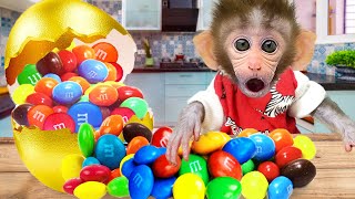 🙉Baby Monkey Bi Bon opens rainbow golden eggs contain M&M candy | Funny Animals Home Video