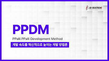 [PPDM] 개발생산성을 현격히 높이는 한국형 개발방법론, PPDM - 빨리빨리 개발방법론