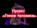 Геном человека. Проект "Геном человека"