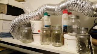 Fastbuds Contest Video #1 Pineapple Express