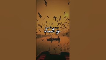 الم يروا الى الطير مسخرات في جو السماء ما يمسكهن الا الله 💚 تلاوة عطرة وهادئة