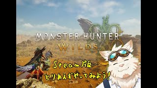 モンハンワイルズ　キャラクリ