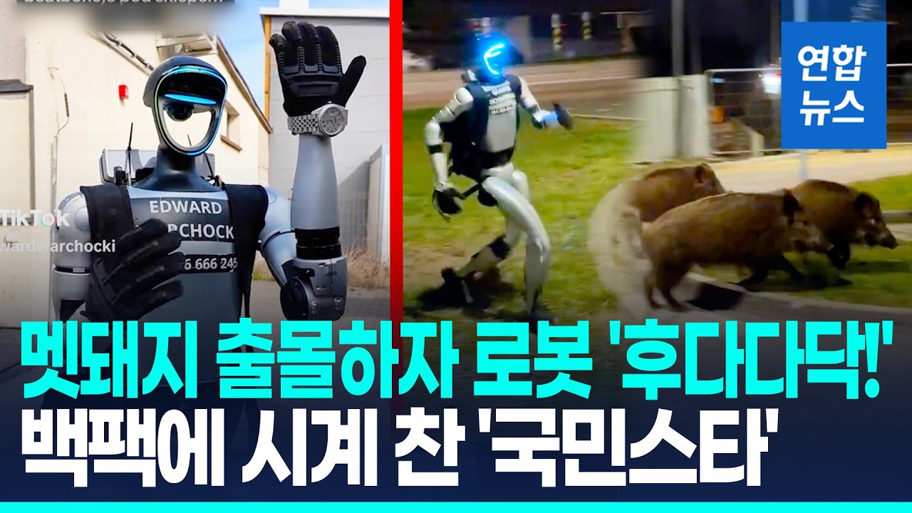 멧돼지떼 쫓은 휴머노이드 로봇…추격전은 버거운지 '바이바이' / 연합뉴스 (Yonhapnews)