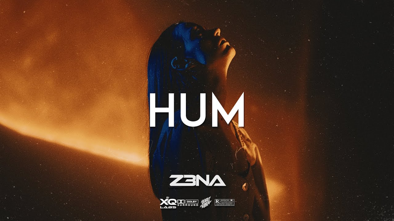 [FREE] Afrobeat Instrumental 2023 Burna Boy Ft Rema Type Beat "HUM"