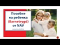 Пособие на ребёнка (Barnetrygd) от NAV