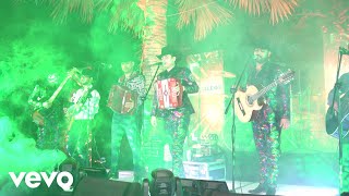 Los Ejemplares del Rancho, Novillos de la Sierra - Nunca Tire La Toalla (En Vivo)