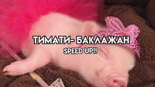 Тимати- Баклажан (speed up)