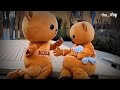 Teddy bear status😍||Teddy bear||teddy lover