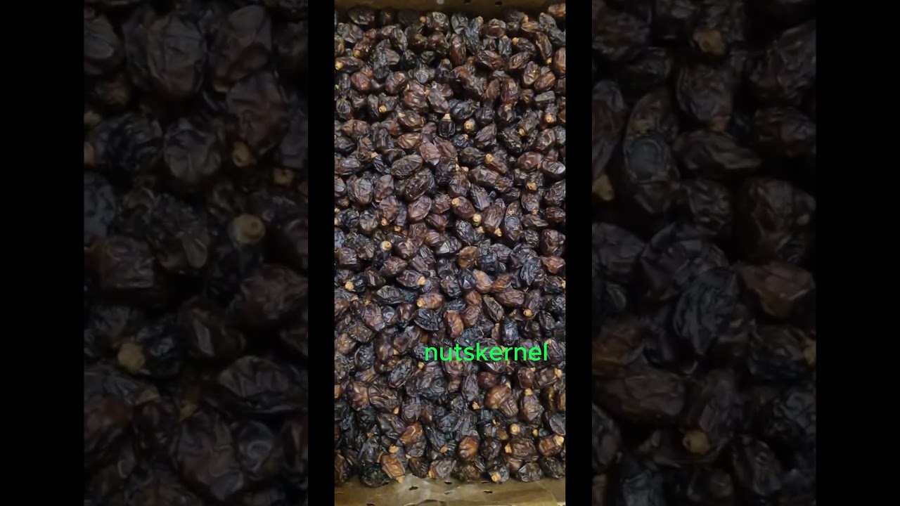 khassuei date قیمت خرما خاصویی عمده  