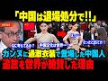 「二度と来るな！」カンヌ映画祭が中国女優を追放!!「日本の着物はOKだったのになぜ？」と吠えた中国評論家が完全論破された理由【海外の反応】【海外から見た日本】