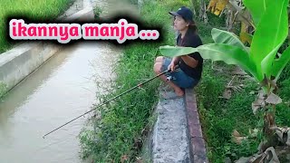 MANCING AMBYAR - FISHING MANIA - MANCING BEAUTIFUL - MANCING BEAUTIFUL MANIA