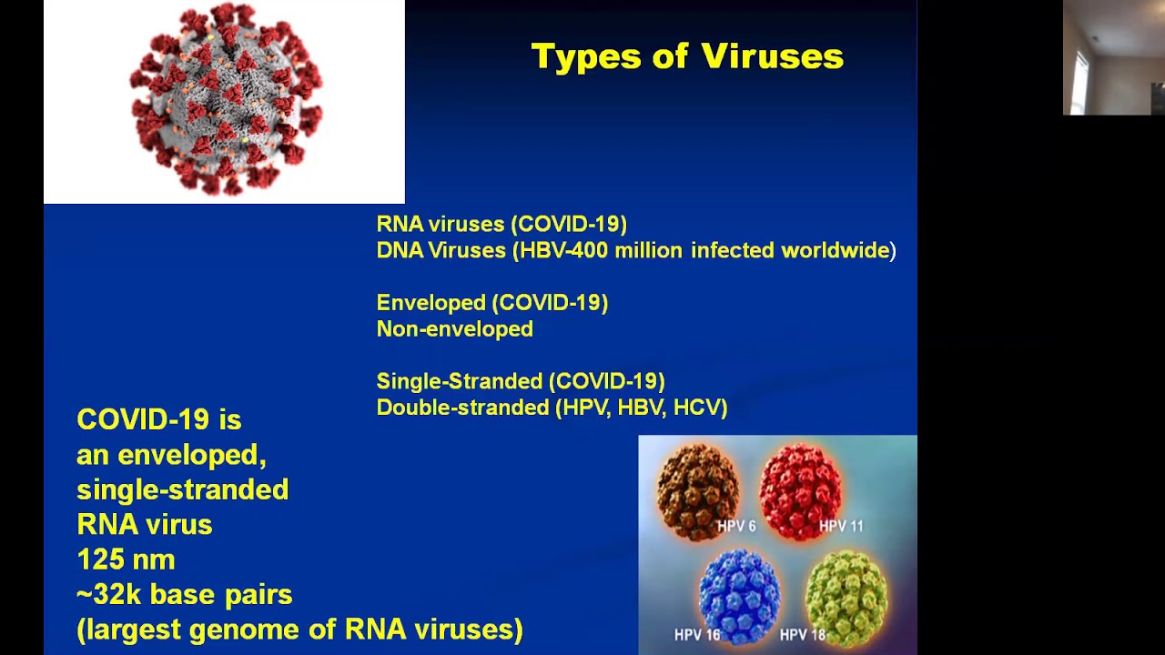 Electrical Therapies for Virus-Based Human Cancers: Another View