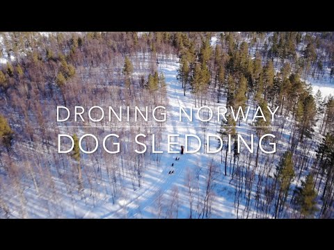 Droning Dogsledding Norway with offtrackexperience.com