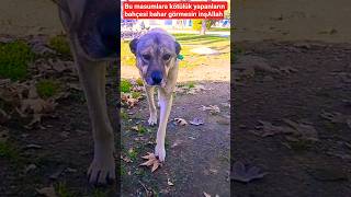 Allah Bu Masumları Korusun Inşallah I