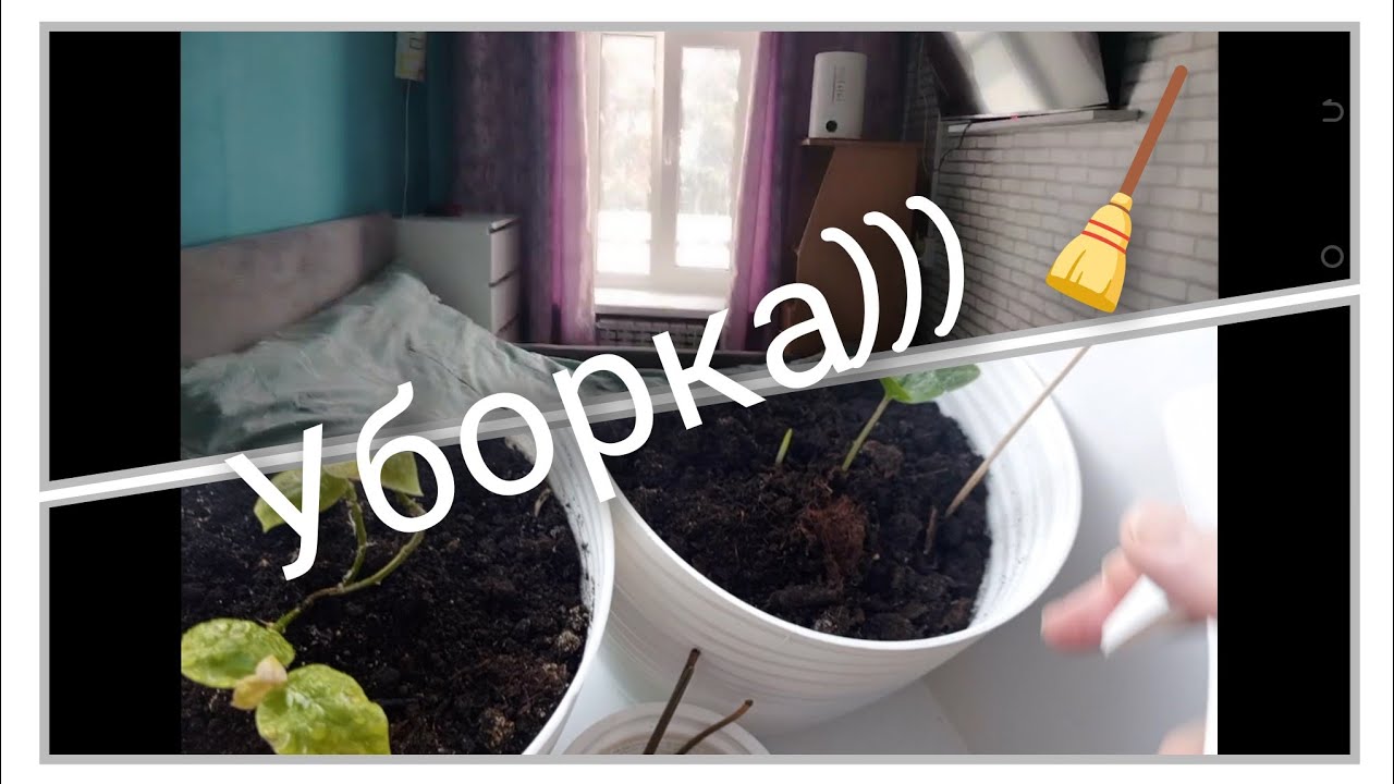 18 февраля 2026 г.