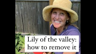 How To Remove Lily Of The Valley (They're a Menace!)