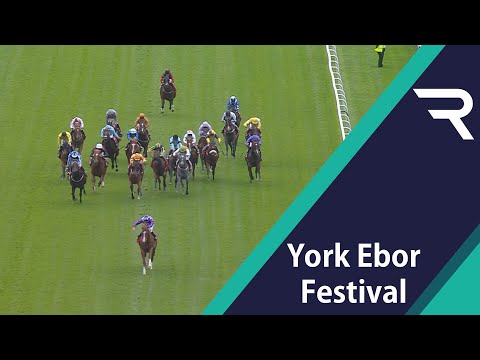 Vidéo: Erlunchun Horse Race Hypoallergénique, Santé Et Durée De Vie