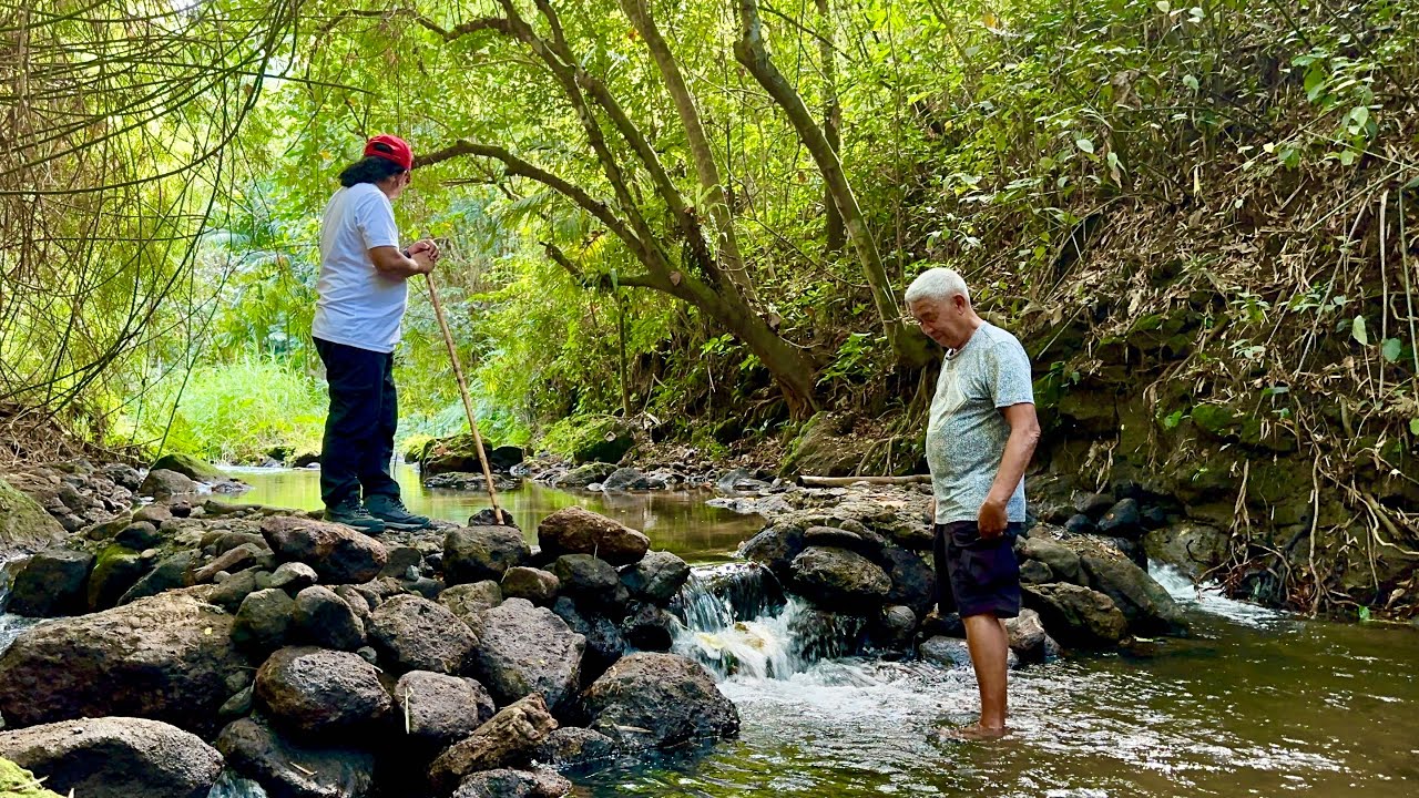 Untouched River Highlight sa Farm! + Biggest Challenge ng mga Successful Farmers
