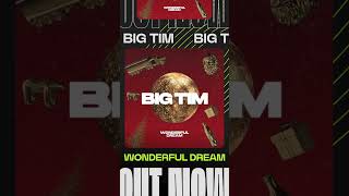 A Wonderful Dream ❄️ Christmas Is Coming Guys 🎄 #Clubsounds #Wonderfuldream #Christmastechno #Bigtim