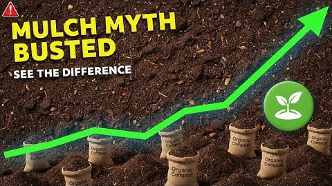 I Replaced Mulch With THIS: My Soil Is THRIVING!