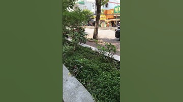 #shorts khu vực đường Phan văn hớn | dung an suong travel