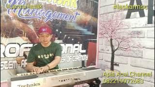 Karaoke Lagu Batanghari Versi Organ Tunggal