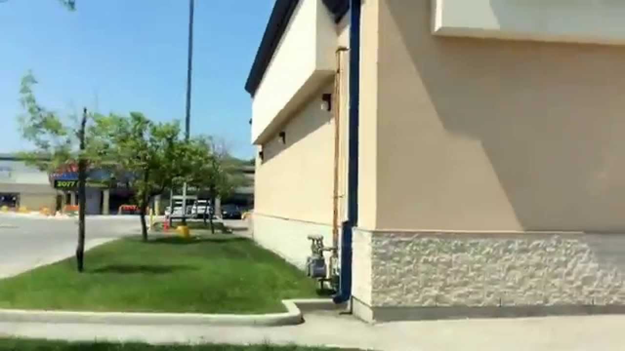 My trip to DENTIST YouTube