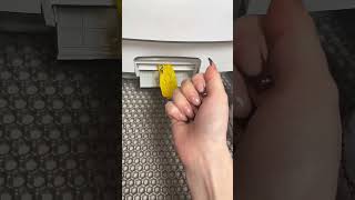 Pet Pivot Auto Scooper Litter Box Every Cat Parent Needs #PetPivot #CatEssentials #AutoScooper