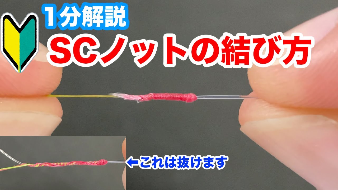 かのこの結い方☺︎ 2 minutes] How to tie SC knots. Easy tips that won't come off