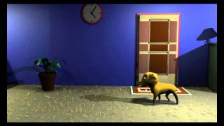 3d Animation