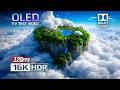 Breathtaking Wildlife in 4K HDR | Ultra-Smooth 120FPS Dolby Vision for OLED &amp; QLED TVs