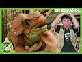 Conociendo a los bebés dinosaurios | Videos de dinosaurios y juguetes para niños