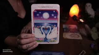 ¡Vas a Recibir una Sorpresa! 😱 🌙✨ Tarot ASMR