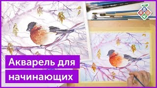 Акварель для начинающих. Пример видеоурока Акварель для начинающих. Пример видеоурока