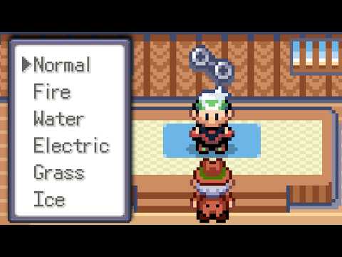 YOU BECAME THE CHAMPION AND NOW YOU OWN A GYM - POKÉMON PETALBURG DYNASTY