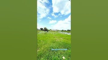 200 Thổ 300 Vườn / Đường Xe 7 Chổ / Mỹ Lộc cần giuộc Long an