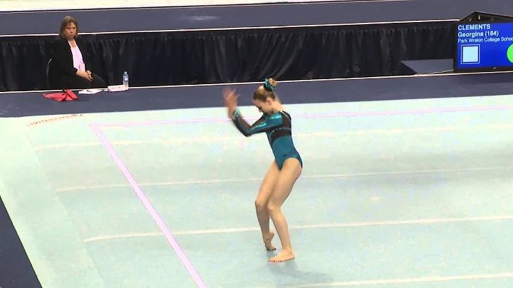 GEORGINA CLEMENTS FX APPARATUS FINALS 2014 BRITISH...