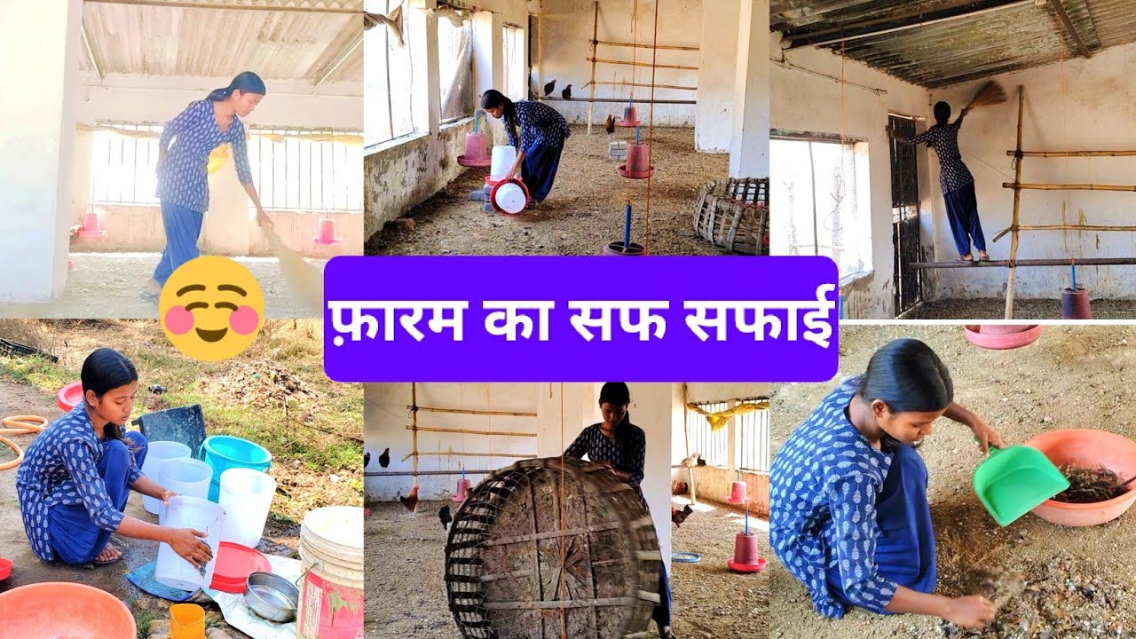 👉 फार्म की साफ़-सफ़ाई🥰