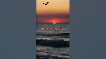#القرآن_الكريم #اكسبلور #المصحف #تلاوة #لايك #تلاوة_قرآن #راحة_نفسية  #السعودية #اكسبلور_explore