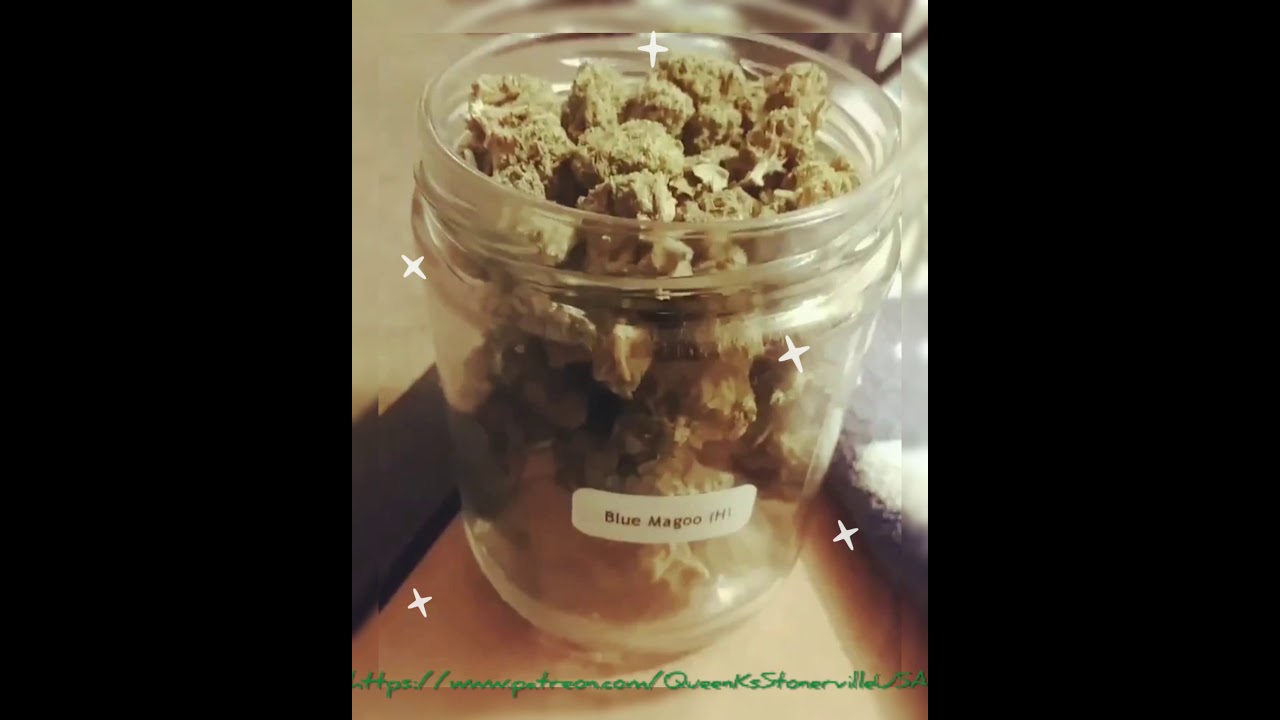 Blue Magoo-Indica Hybrid