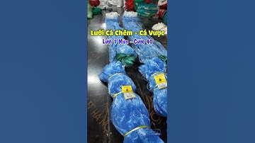Lưới Đánh Cá Chẽm - Cá Vược #luoidanhcaatrung