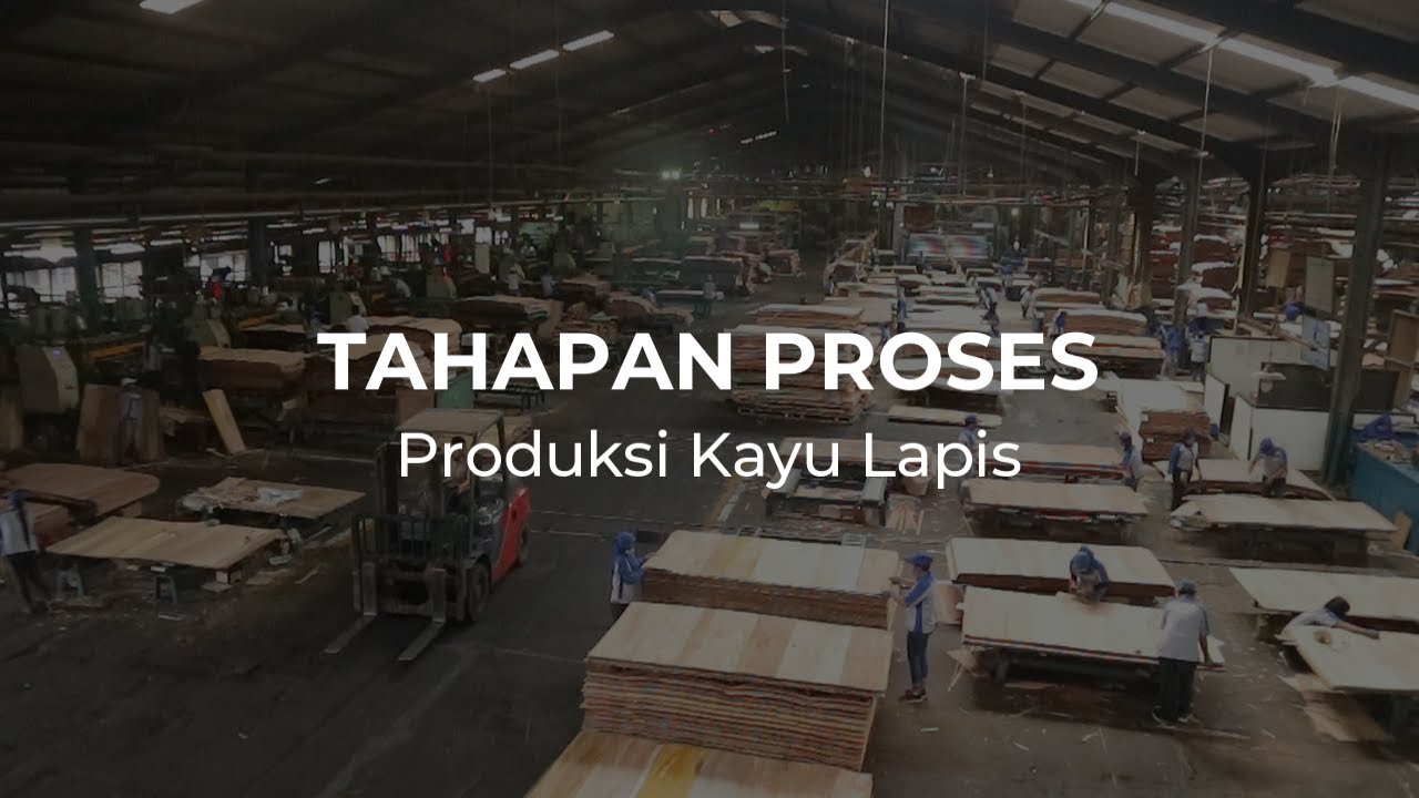 tahapan-proses-produksi-kayu-lapis-plywood-youtube