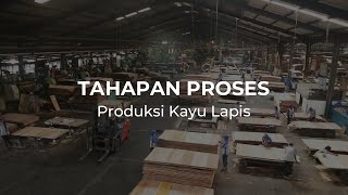 Tahapan Proses Produksi Kayu Lapis ( Plywood )